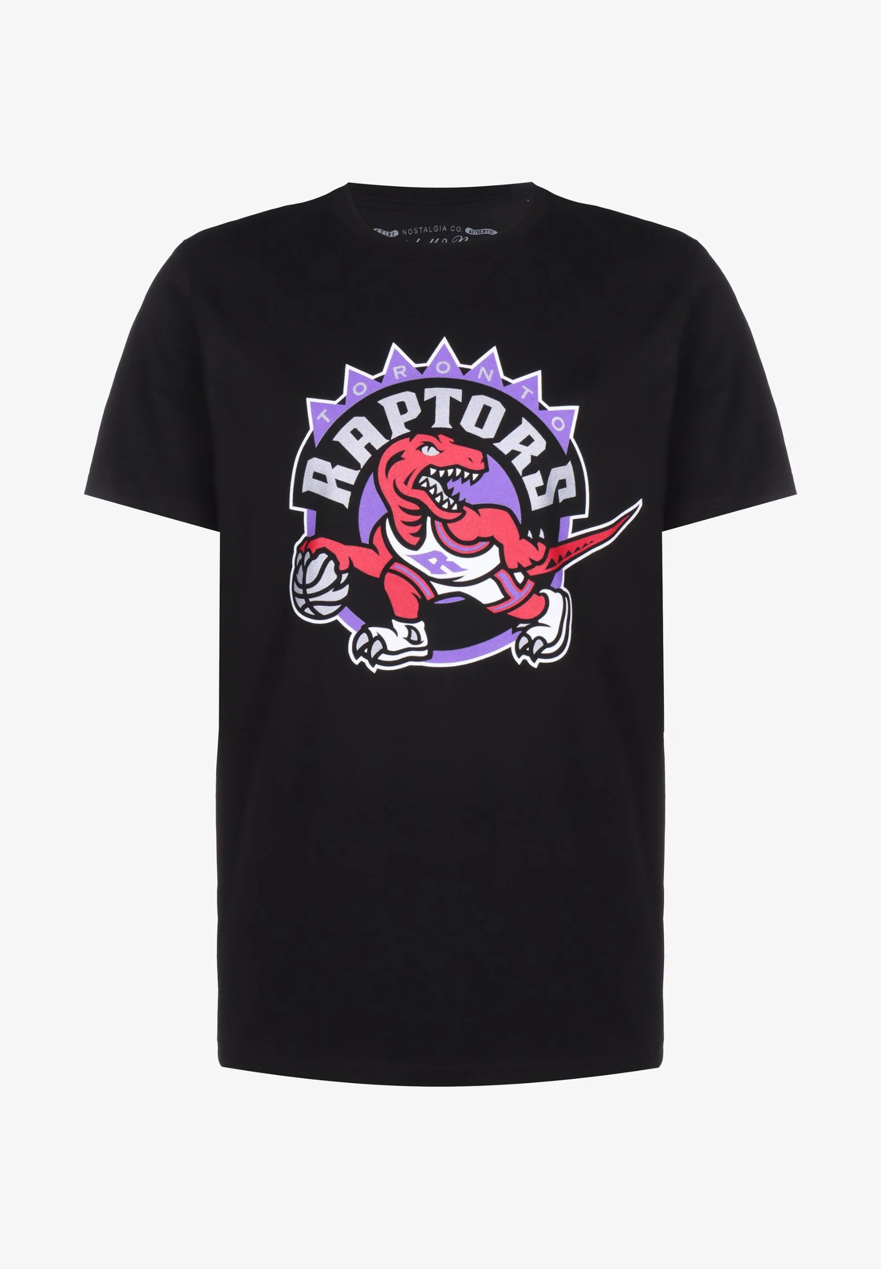 Toronto Raptors Retro Graphic Tee